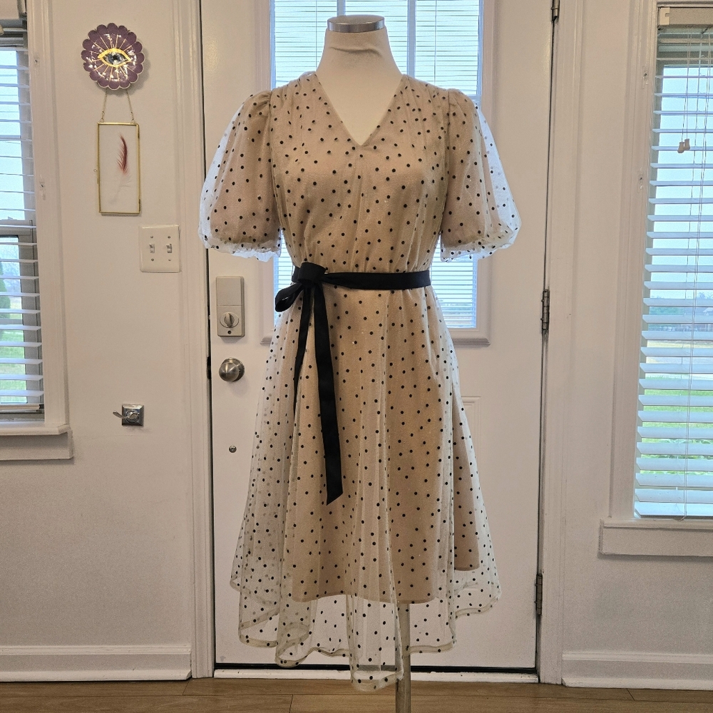 Goelia Blk Dot Dress Size Small